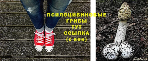не бодяженный Богданович