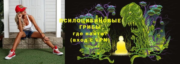 не бодяженный Богданович