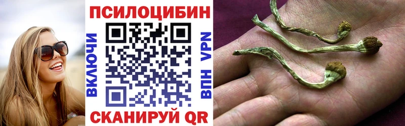 Галлюциногенные грибы прущие грибы Белозерск